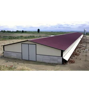Galvanized shed steel structure poultry chicken farm building for 10000 broilers