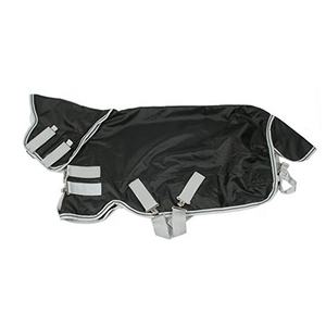 Équipement de couverture d'équitation de haute qualité, logo personnalisé, luxe haut de gamme, meilleur prix, fabricant professionnel, Kanpur - Product Image 2