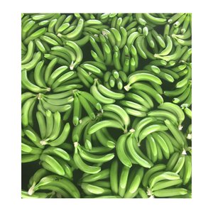 Prix à l'usine vietnamienne de bananes congelées pour l'exportation fruits frais bananes Cavendish de 99 Gold Data Vietnam - Product Image 3