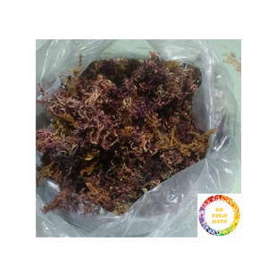 Buena Elección Algas Puras Cottonii Algas Versatiles Ideal para Aperitivos, Ensaladas Y Formulaciones De Belleza - Product Image 6