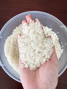 Arroz Japonica Calrose de alta calidad, blanco suave, grano corto seco y originario de Vietnam, tipo de cultivo común/ANNA DO - Product Image 4