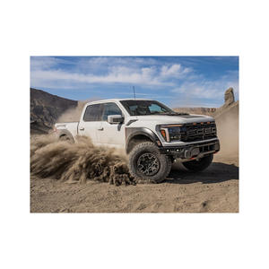 F150 polyvalent offrant confort, utilité et performance pour les achats en gros, sans accident, prêt à être expédié - Product Image 6