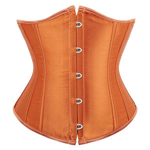 Orange Satin Corset Body Shaping Shapewear Waist Slimming Bustier <b>Lingerie</b> for <b>Women</b> <b>Sexy</b> Trendy Fashion Outfit - Product Image 1