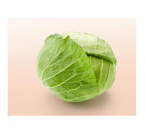 Chou vert bon marché à vendre Chou vert frais de haute qualité disponible en gros pour l'exportation vente en gros et au détail - Product Image 6