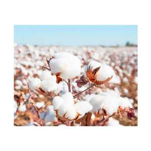 Coton organique naturel pur pour la filature de production de tissus et l'utilisation de l'industrie textile écologique à bon prix - Product Image 5