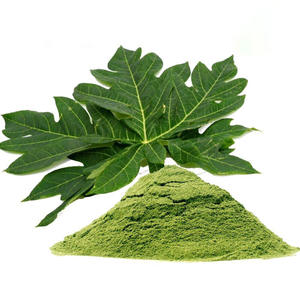 Poudre d'extrait de feuille de papaye pure de qualité supérieure pour la fabrication de thé à boire à base de plantes feuilles de papaye en poudre à bas prix - Product Image 1