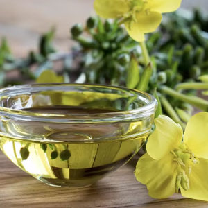 น้ำมันอีฟนิ่งพริมโรสบริสุทธิ์และเป็นธรรมชาติ100% บำบัดน้ำมันอีฟนิ่งพริมโรสจากอินเดีย - Product Image 1