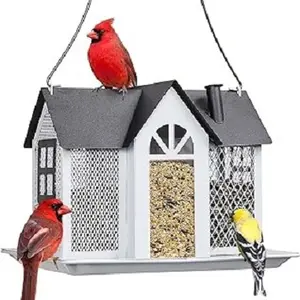 Décoration de jardin Cage à oiseaux et abri pour oiseaux galvanisés en forme de cabane pour animaux de compagnie