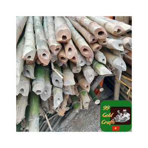 Poste de bambú de alta resistencia para uso a largo plazo en paisajismo y agricultura Poste de bambú Premium que ofrece una calidad excepcional - Product Image 2