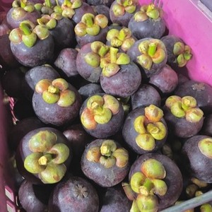 มังคุดออร์แกนิคพรีเมียม คุณภาพเยี่ยม แหล่งผลิตอย่างยั่งยืนจากประเทศไทย บรรจุภัณฑ์ขั้นสูง เคย์ ทาลัดไทย เกรด 8 กก. 1-2 - Product Image 2