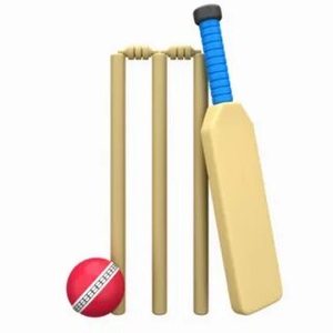 Vente à chaud Ensemble de souches en plastique de cricket d'excellente qualité avec 3 souches en plastique et 2 bélières pour acheteurs en gros - Product Image 6