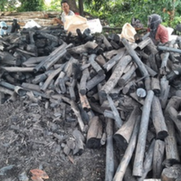 Charbon de bois naturel noir dur Halaban en promotion, idéal pour les barbecues et la cuisson de la viande, offrant une chaleur uniforme.