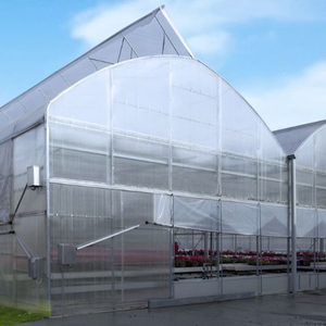 Serre à film multi-spans à technologie intelligente pour l'agriculture commerciale avec support professionnel pour la planification de projets - Product Image 1