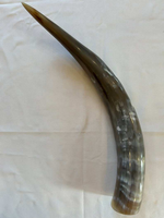 Cornes de vache naturelles polies de qualité supérieure, écologiques et faites à la main, pour la décoration et la boisson, cornes géantes authentiques pour l'artisanat et les objets de collection