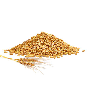 Grano DE TRIGO barato, nueva cosecha - Product Image 2