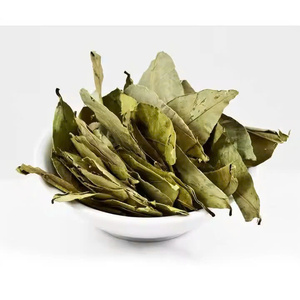 Dried Soursop Leaves Fermented Broken Black <b>Tea</b> Organic Health Non-Sugar 50gr 25 <b>Tea</b> Bags/<b>Box</b> EXPAD CO Grade a - Product Image 3
