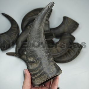 สายรัดสำหรับเคี้ยวสุนัขควายฮอร์นธรรมชาติแบบพรีเมี่ยมแข็งแรงทนทานต่อสุขภาพปลอดภัยใช้งานได้นานรักษาฟันสำหรับสุนัขที่กัดจากต่างประเทศ - Product Image 1