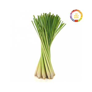 ตะไคร้แช่แข็งจากเวียดนามเก็บเกี่ยวอย่างระมัดระวังพร้อมส่งออกในราคาส่งและความมุ่งมั่นด้านคุณภาพ - Product Image 5