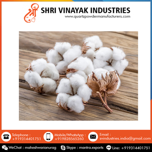 Meilleure fourniture, coton brut naturel indien pur de bonne qualité au dernier prix réduit sur la commande en gros - Product Image 2