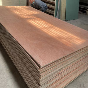 Contrachapado Comercial de Abedul E2 Ecológico Bintangor de 3mm, 1220x2440mm, para Uso en Hoteles, Precio Bajo - Product Image 1