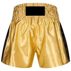 Shorts de combat de boxe Pro pour hommes coupe classique taille élastique coutures durables idéales pour les allumettes et l'entraînement - Product Image 2