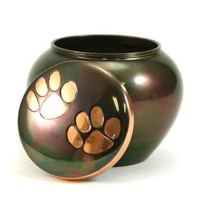 Urnes Paw Pet pour cendres Urnes de crémation gravées pour cendres d'animaux Urne en laiton doré avec gravure artisanale pour animaux de compagnie - Product Image 3