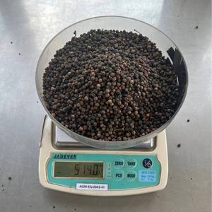 Pimienta negra seca de alta calidad del proveedor Pimienta negra 500gl 550gl - Product Image 3