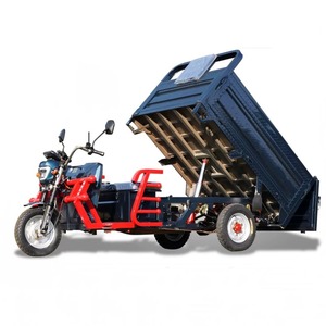 Tricycle électrique de transport de marchandises, véhicule utilitaire à trois roues, camion de livraison léger, 60V, carrosserie en métal argenté - Product Image 2