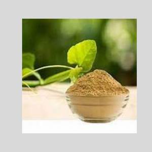 ผงสกัดรากซิสซัสคุณภาพสูง 5% ซาโปนิน เกรดอาหารเพื่อสุขภาพ 99% ผลิตด้วยวิธีสเปรย์ดราย ปลูกในแหล่งกำเนิด - Product Image 1