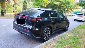 2022 BX4Z SUV AWD Double Motor R18 Lithium Battery 110kWh+ Fast-Charge Leather Seats <b>Panoramic</b> Sunroof 6-Seater LED Lights - Product Image 2