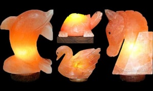 Ensemble de lampes au sel de l'Himalaya en forme d'animal pris en charge HACCP Cordon électrique et ampoule sculptés biologiques pour la décoration de la maison et la santé - Product Image 6