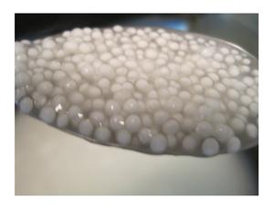 ไข่มุกมันสำปะหลังสำหรับเครื่องดื่มชาบับเบิ้ลที่ผลิตขึ้นเพื่อส่งมอบคุณภาพที่สม่ำเสมอในทุกการเสิร์ฟ - Product Image 5