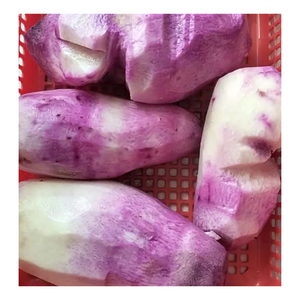 Igname violette congelée de haute qualité pour la cuisson et la cuisson, violet naturel, igname congelée de couleur blanche, igname IQF à prix bon marché - Product Image 4