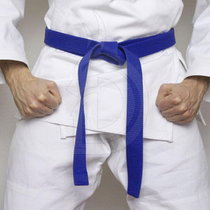 Cinturón de Karate Personalizado 2026 con Logotipo Disponible, Cinturón de Artes Marciales de Alta Resistencia con Doble Costura - Product Image 5