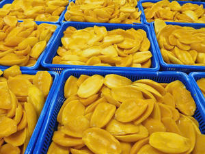 มะม่วงแช่แข็งจากเวียดนามเพื่อการส่งออกมะม่วงแช่แข็งเป็นชิ้นๆและเป็นชิ้นๆเนื้อสีเหลืองเข้มข้นเหมาะสำหรับน้ำผลไม้และท็อปปิ้งเป็นจำนวนมาก - Product Image 5