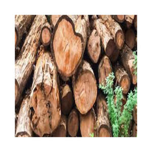 Bois de chauffage en teck durable disponible en vente en gros pour le chauffage - Product Image 6