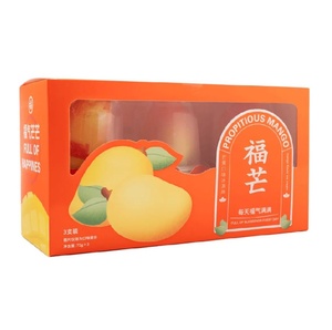 Nuevo Producto: Helado de Mango Frukti 75g, Delicioso Helado de Mango en Vaso, Postre Congelado Premium para Venta al por Mayor - Product Image 4