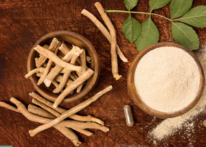 El Mejor Polvo de Shatavari Natural de Grado Alimenticio de la India, Fabricante OEM, Empaque a Granel - Product Image 2