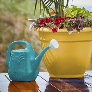 Arrosoir en métal compact de 1,5 L avec finition argentée polie pour les petits espaces, les plantes de bureau ou les jardins de bureau - Product Image 2