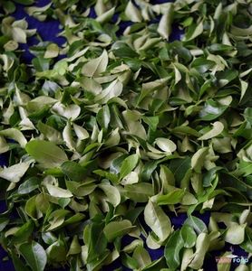 Feuilles de curry séchées en vrac au prix d'usine, arôme intense, qualité pure, meilleures offres de gros du Vietnam - Product Image 3
