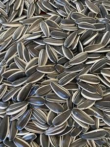 Noix de tournesol, croustillantes, nutritives et délicieuses, choix idéal pour l'énergie quotidienne avec une qualité supérieure - Product Image 2