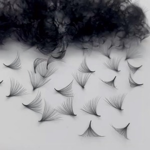 Venta superior Extensiones de pestañas con embalaje personalizado Etiqueta privada Directo de fábrica 10D-20D 0,03-0,05mm CC/DD/LD/M Fans prefabricados Curl - Product Image 4