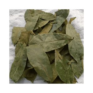 ใบทุเรียนเทศแห้งวัสดุอบแห้งเบาๆสำหรับบ้านชาบูติกและเที่ยวบินชิมเลือกสะอาดจากเวียดนาม - Product Image 1