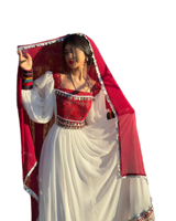 Robe longue Anarkali bohème vintage ethnique pour femmes afghanes en mousseline de soie, éco-responsable, taille naturelle, manches longues, détails boutonnés