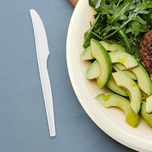 Cuchillo de plástico CPLA compostable blanco de peso pesado Biocean 7" - Product Image 2