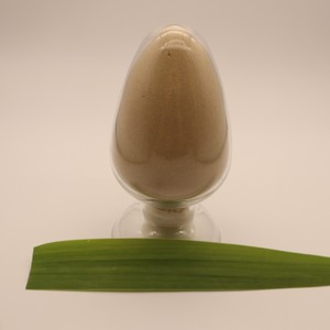 Deffated Mealworm Gefrier getrocknetes Protein pulver <span class=keywords><strong>Ranova</strong></span> Reptile Dry Food Supplement - Product Image 3