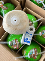 Agua fresca de coco de Vietnam Grado superior Coco joven Mejor precio Venta al por mayor a la UE y EE. UU.-ANNA DO VILACONIC