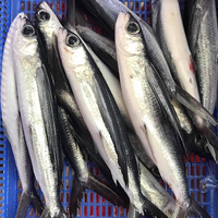 Poisson volant séché salé traditionnel, moins salé, distribué en grande quantité