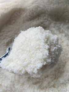 มะพร้าวอบแห้ง (มะพร้าวขูด) เกรดอาหารสำหรับส่งออก - Product Image 4