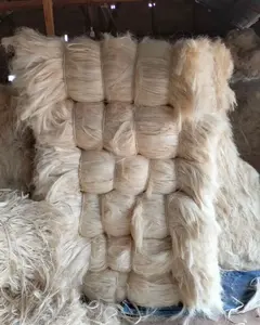 Fibra cruda UG SSUG Sisal Fibra que podemos suministrar - Product Image 3